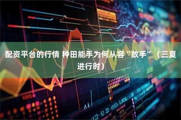 配资平台的行情 种田能手为何从容“放手”（三夏进行时）