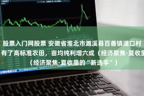 股票入门网股票 安徽省淮北市濉溪县百善镇道口村小麦种植户—— 有了高标准农田，亩均纯利增六成（经济聚焦·夏收里的“新选手”）