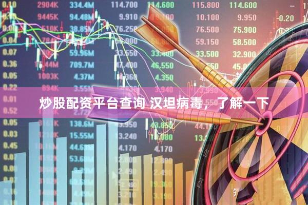 炒股配资平台查询 汉坦病毒，了解一下